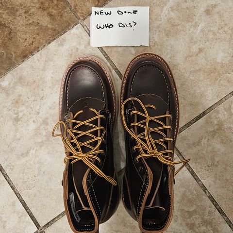 Truman Moc Toe in Seidel Bay Double Shot