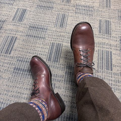 NF Bootmaker Milton Shoe in La Perla Azzurra Dark Brown Missouri
