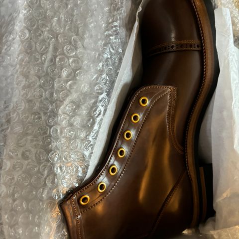 Iron Boots 5515 in Maryam Brown Shell Cordovan
