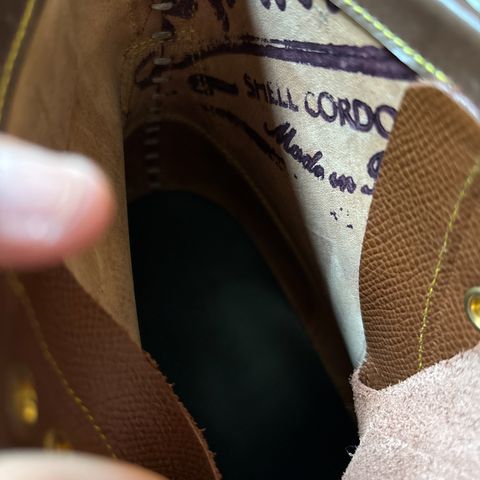 Iron Boots 5515 in Maryam Brown Shell Cordovan