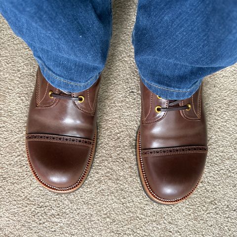 Iron Boots 5515 in Maryam Brown Shell Cordovan