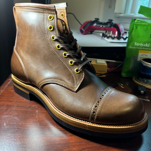 Iron Boots 5515 in Maryam Brown Shell Cordovan