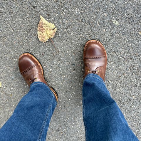 Iron Boots 5515 in Maryam Brown Shell Cordovan