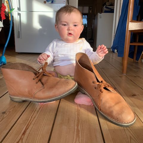 Clarks Desert Boot in Dark Tan