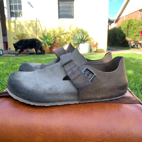 Birkenstock London in Sandcastle Suede