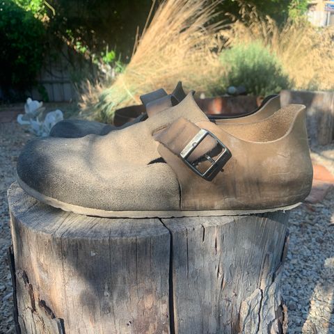 Birkenstock London in Sandcastle Suede