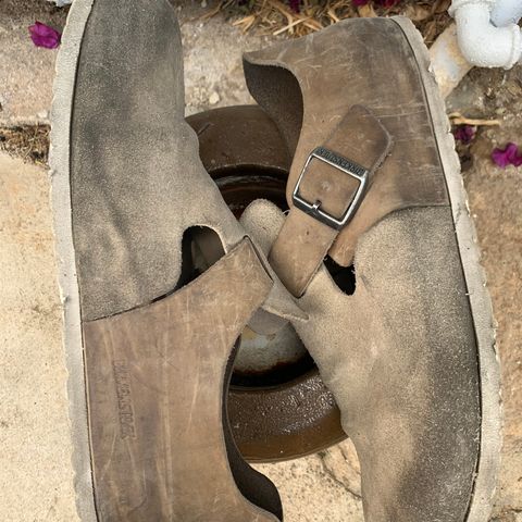 Birkenstock London in Sandcastle Suede