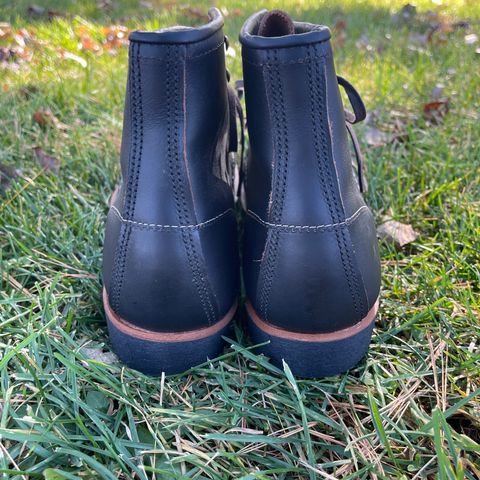 Red Wing Blacksmith in S.B. Foot Black Prairie