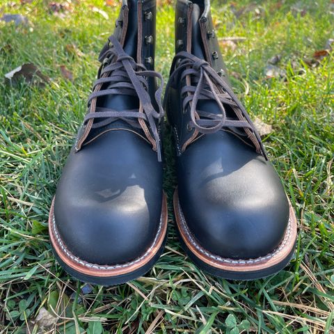 Red Wing Blacksmith in S.B. Foot Black Prairie