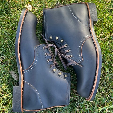 Red Wing Blacksmith in S.B. Foot Black Prairie