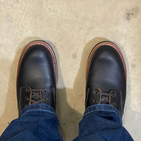 Red Wing Blacksmith in S.B. Foot Black Prairie