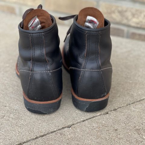 Red Wing Blacksmith in S.B. Foot Black Prairie