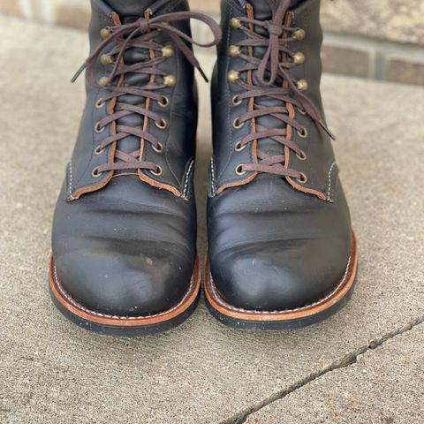 Red Wing Blacksmith in S.B. Foot Black Prairie