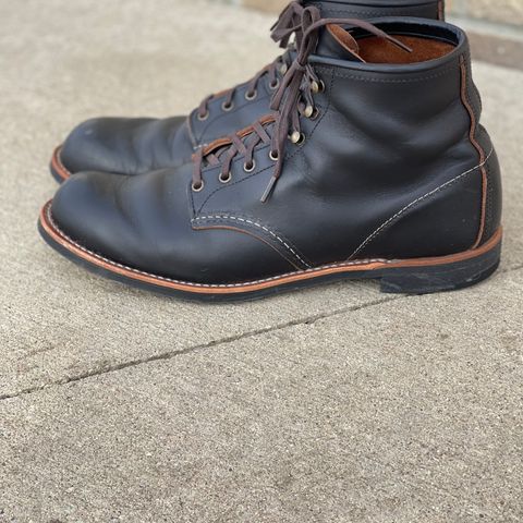 Red Wing Blacksmith in S.B. Foot Black Prairie