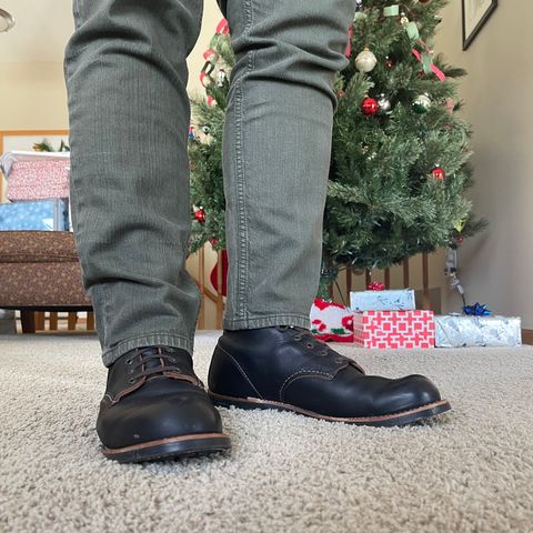 Red Wing Blacksmith in S.B. Foot Black Prairie