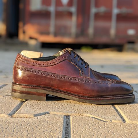 Bridlen Unlisted Model in Unlisted Leather