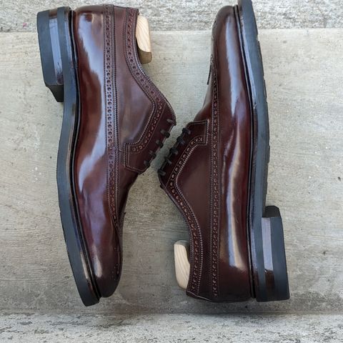 Bridlen Unlisted Model in Unlisted Leather