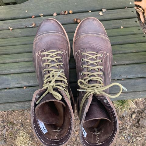 Truman Upland Boot in Horween Java Predator