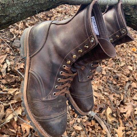 Truman Upland Boot in Horween Java Predator