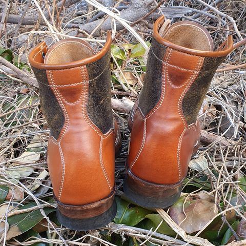 Midas Vanquish Blucher Boot in Leder Ogawa Camel Shell Cordovan