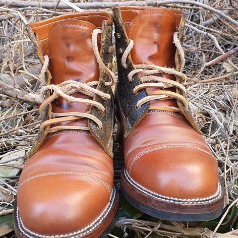 Midas Vanquish Blucher Boot in Leder Ogawa Camel Shell Cordovan
