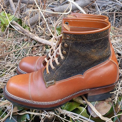 Midas Vanquish Blucher Boot in Leder Ogawa Camel Shell Cordovan