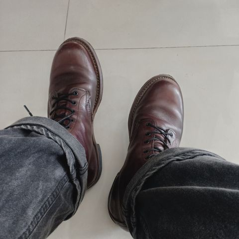 Red Wing Beckman in S.B. Foot Black Cherry Featherstone