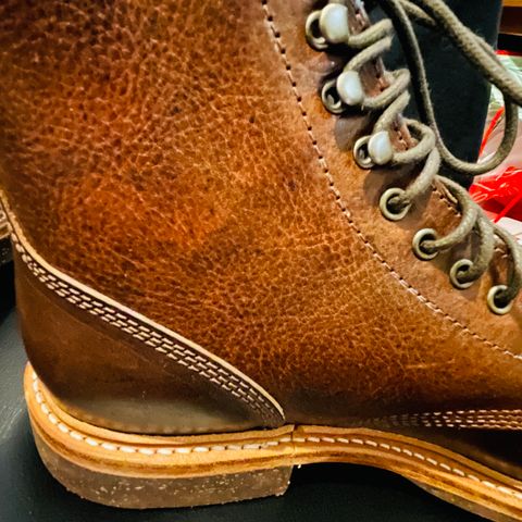 Oak Street Bootmakers Field Boot in Badalassi Carlo Nemesi Cotto