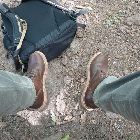Oak Street Bootmakers Field Boot in Badalassi Carlo Nemesi Cotto