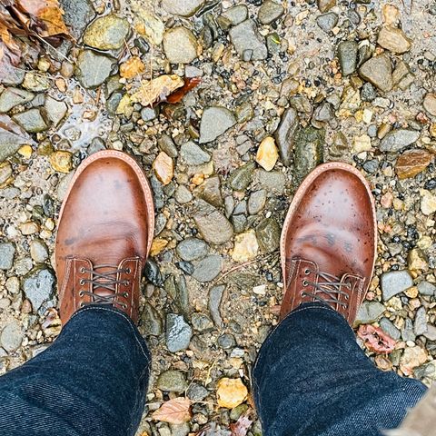 Oak Street Bootmakers Field Boot in Badalassi Carlo Nemesi Cotto