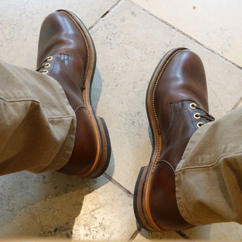 Search result thumbnail of Viberg Service Boot in Horween Brown Chromexcel