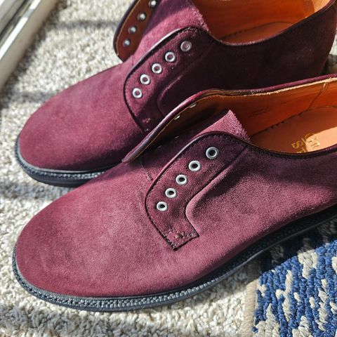 Grant Stone Plain Toe Blucher in CF Stead Berry Repello Calf Suede
