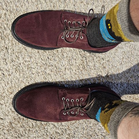 Grant Stone Plain Toe Blucher in CF Stead Berry Repello Calf Suede