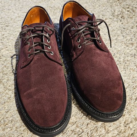 Grant Stone Plain Toe Blucher in CF Stead Berry Repello Calf Suede