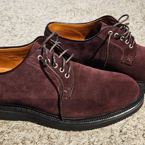 Grant Stone Plain Toe Blucher in CF Stead Berry Repello Calf Suede