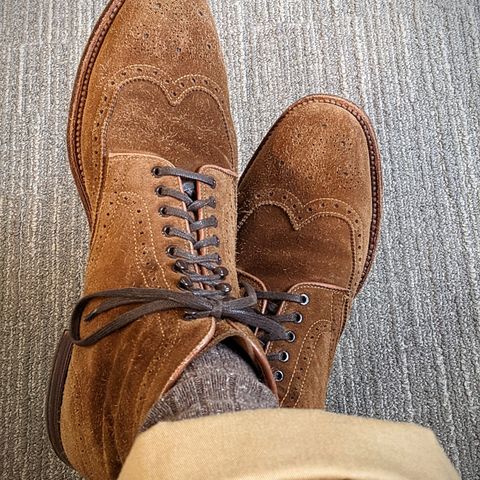 Alden Short Wing Boot in C.F. Stead Snuff Janus Calf Suede