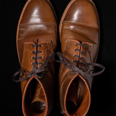 Viberg Halkett in Horween Bourbon Shell Cordovan
