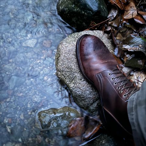 Viberg Service Boot in C.F. Stead Whiskey Phoenix