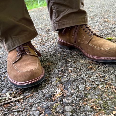Alden Indy Boot in Snuff Suede