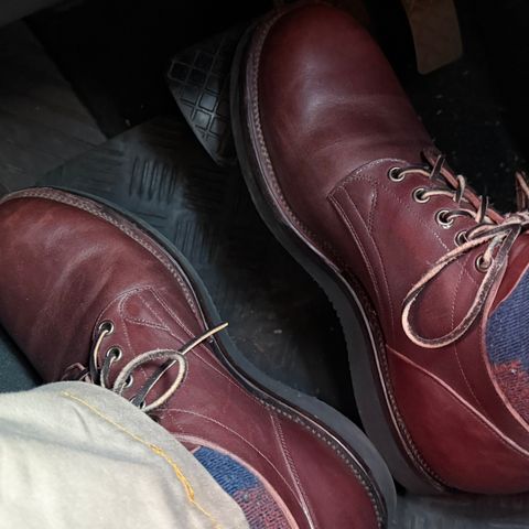 Viberg 145 Oxford in Maryam Brown Horsebutt