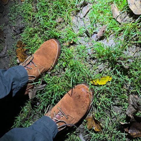 Iron Boots The Chosen One in S.B. Foot Dune Roughout Suede