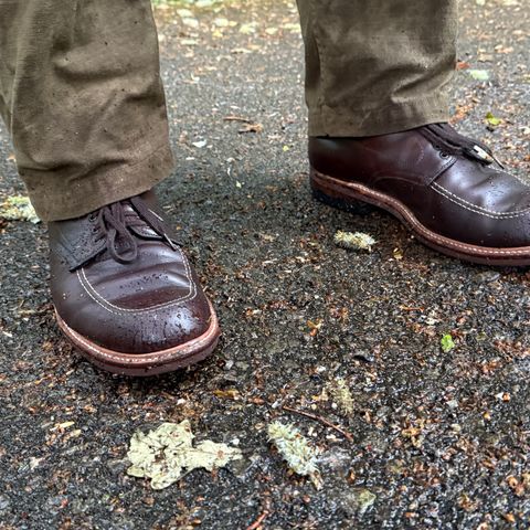 Alden Indy Boot in Horween Brown Chromexcel