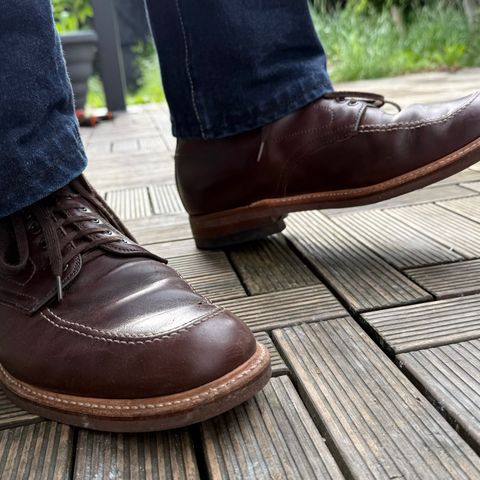 Alden Indy Boot in Horween Brown Chromexcel