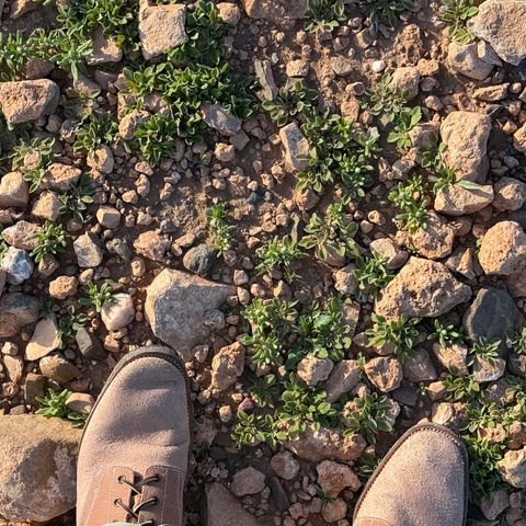Clinch Yeager Boots in Wickett & Craig Natural Latigo Roughout