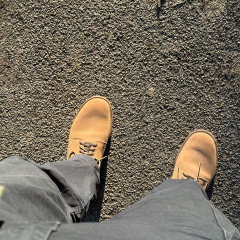 Viberg Boondocker in Horween Marine Field Roughout