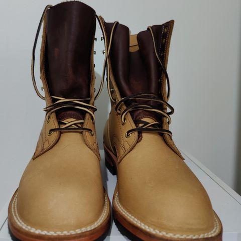 Nicks Ranger in Seidel 1964 Brown
