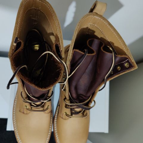 Nicks Ranger in Seidel 1964 Brown