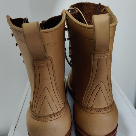 Nicks Ranger in Seidel 1964 Brown