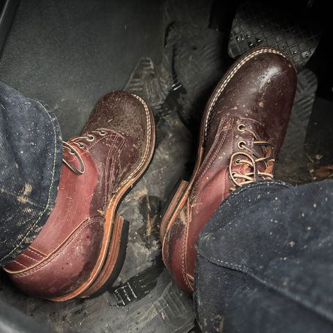 Search result thumbnail of Frank's Boots Wilshire in Seidel Brown Domain