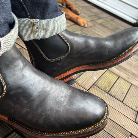Fortis Wholecut Chelsea in Maryam Black Horsebutt